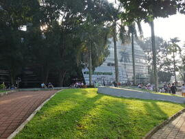 Tampak Belakang Perpustakaan Pusat UI 2013