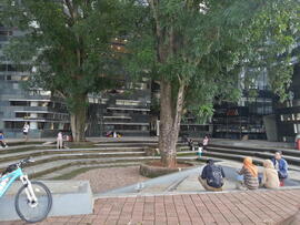 Taman Lingkar Perpustakaan Pusat UI 2013