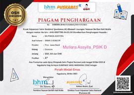 Piagam Penghargaan Peraih Medali Emas Olimpiade Puskasnas atas nama Mutiara Assyifa