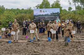 Foto Menteri Lingkungan Hidup dan Kehutanan RI, Dr. Siti Nurbaya Bakar, bersama Menteri Iklim dan Lingkungan Hidup Norwegia, Espen Barth Eide, melakukan penanaman mangrove di Desa Sotek, Penajam Paser Utara, Kalimantan Timur pada 11 September 2022 sebagai bentuk penguatan kerja sama Indonesia–Norwegia dalam rehabilitasi mangrove, pengendalian perubahan iklim, dan dukungan terhadap program Indonesia FOLU Net Sink 2030